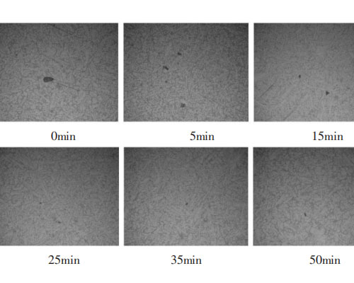 Purification Treatment