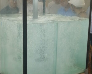 Remove Impurities by Flotation